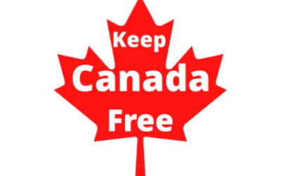 Forced into an economic war